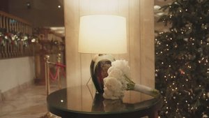 Wd 12.12.2024. Свадебный клип