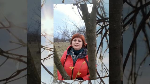 Всесвітній день поезії, 23 березня. #Поезія #Вірші_для_душі