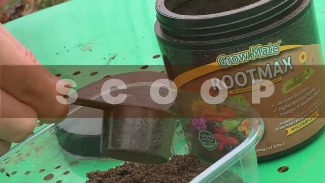 Rootmax Mycorrhizal Fungi - How to Use and Dosage смотреть онлайн