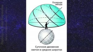 Астрономия 11 класс. §05. Видимое движение звёзд на различных географических широтах.
