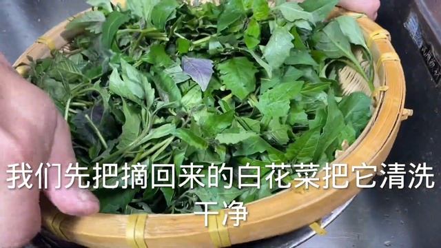 上湯野菜怎麼做好吃 酒店大廚告訴你 保證湯白如奶 鮮甜美味【秒飛美食屋】，#上湯野菜，#上湯野菜做法，#上湯菠菜皮蛋的做法，Soup with Wild Vegetables recipe