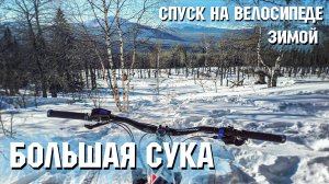 Большая Сука | Спуск на велосипеде | Зимой