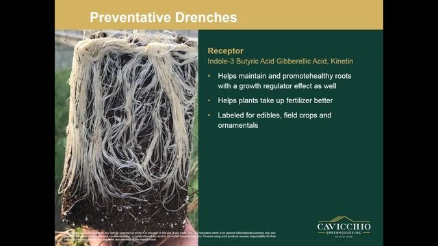 2018 01 31 12 00 New England Greenhouse Webinar Series Growing Healthy Roots смотреть онлайн