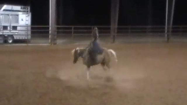 Matts Pt Cruiser (NRHA,NRBC)Sold in TX смотреть онлайн