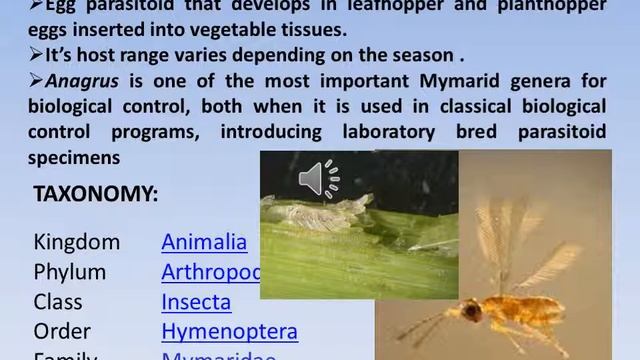 Biological control of crop pests 1