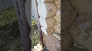 Шлифовка торцов сруба. Обдирочная чашка с Али Экспресс. Отзыв