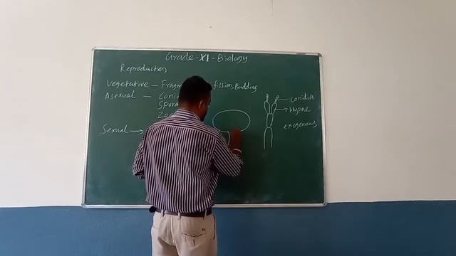 GRADE XI - BIOLOGY - CHAPTER : 2 (BIOLOGICAL CLASSIFICATION) (PART - 4) смотреть онлайн