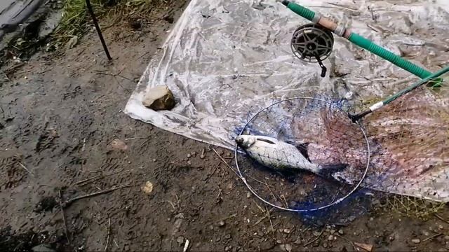 Рыбалка как она есть. 2020год. смотреть онлайн