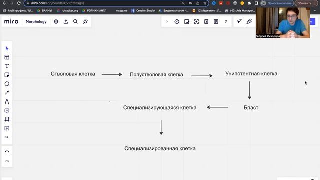 Морфология №1. ГЕМОПОЕЗ смотреть онлайн