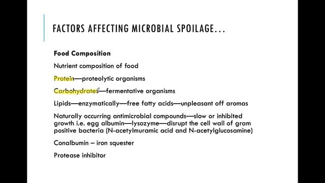 Food Biotechnology 20 May 2021