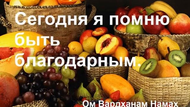 день 16 жизнь благодарности смотреть онлайн