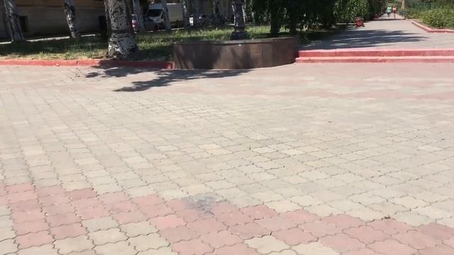 Ядовитые цветочки Мы под колпаком.. смотреть онлайн