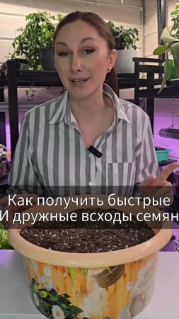 Всё взойдёт очень быстро и дружно.