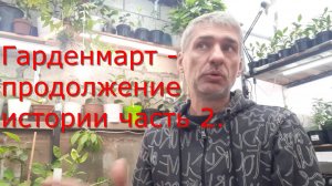 Гарденмарт- продолжение истории часть 2, обзор теплицы, прививок. Инжир и виноград после укрытия.