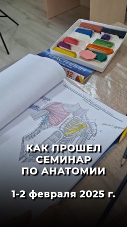 СЕМИНАР ПО АНАТОМИИ