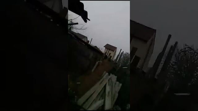 Голуби СВГ Петренко В.Н. ст. Староминская смотреть онлайн