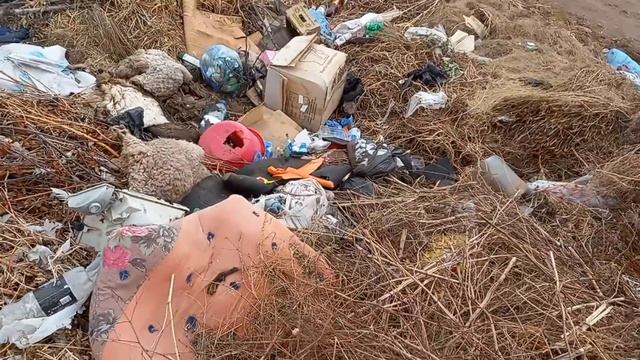 бизнес на свалке, ищем и рыщем смотреть онлайн