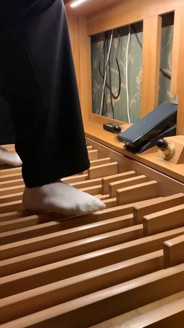 J.S.Bach - Prelude from suite №1 G-dur (BWV 1007) #bwv1007 #bach #cello #organmusic #organist смотреть онлайн