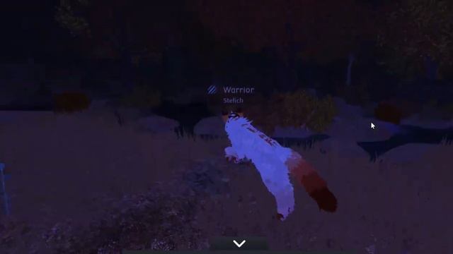 CatWar и что-то ещё коллаб с Викуст CatWar