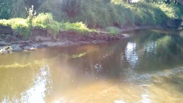 Лара Колясникова... С израненной душой живя... Стихи смотреть онлайн