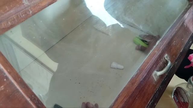 Pembuatan Trichoderma dan PGPR (Plant Growth Promoting Rizobacteria) смотреть онлайн