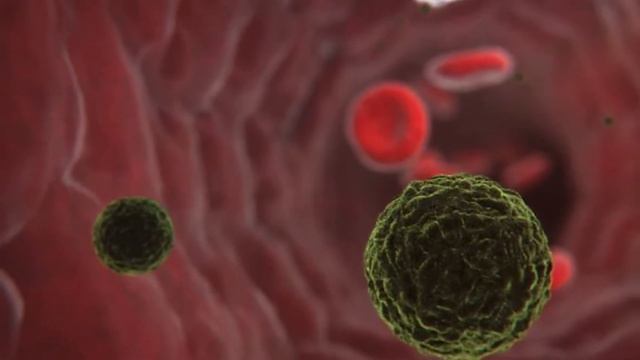 CSA6 gene would prevent Candidiasis | Pariksha Idea смотреть онлайн