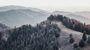 Успокаивающая музыка для нервов. Музыка для глубокого сна и восстановления сил