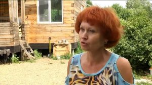 В преддверии всемирного дня бездомных животных мы выяснили тяжело ли помогать бездомным кошкам