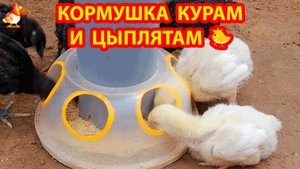 Кормушка курам и цыплятам из пластиковой миски и трубы ПВХ ❣️🤗😂