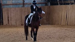 Аквилон и Маша, манежная езда 1.2, проведение соревнований. #horse #equestrian #лошади #pony