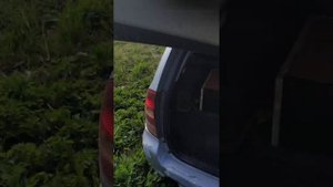 URAL PATRIOT 6.5 в ЧВ