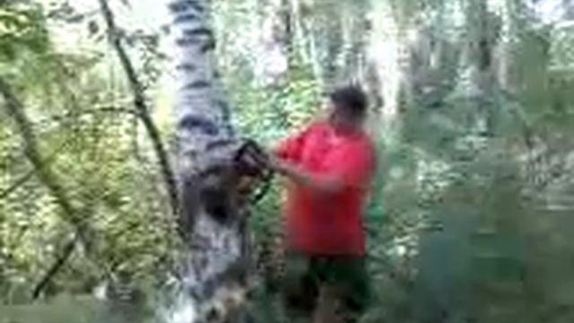 заготовка на зиму.3gp смотреть онлайн