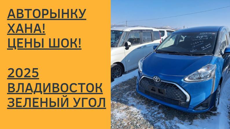 АВТОРЫНКУ ХАНА! ЦЕНЫ ШОК! ВЛАДИВОСТОК! 2025! АВТОРЫНОК ЗЕЛЕНЫЙ УГОЛ!