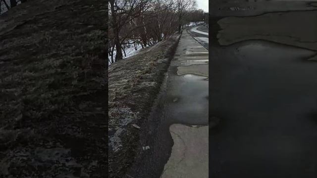 Дошли с хаски Диком до царицыно часть 3 10.03.24 смотреть онлайн