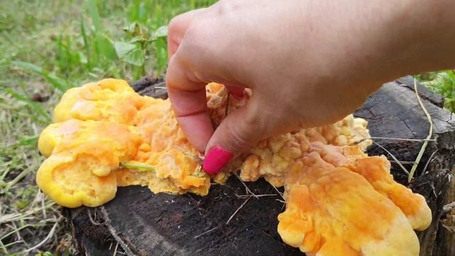 ДАЧА / В САД ЗА ГРИБАМИ 😃🍄 смотреть онлайн