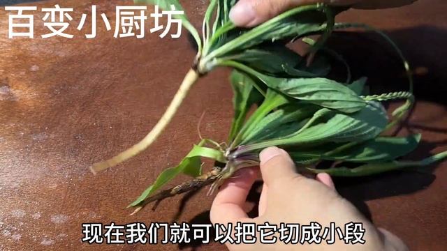 車前草搭配綠豆，老一輩的做法，太厲害了，既省錢又實用，快試試【百變小廚坊】#綠豆 #綠豆料理 #綠豆食譜 #綠豆煮法 #綠豆做法
