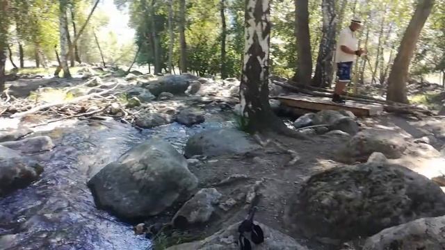 40, Дорога на каменные грибы смотреть онлайн