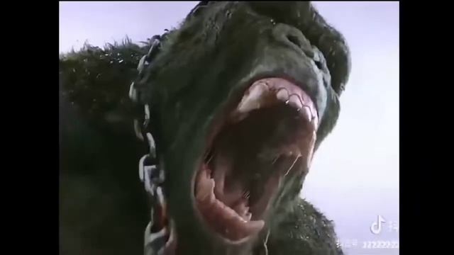 Gorilla Film Movie
