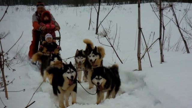 Масленица 2013. смотреть онлайн