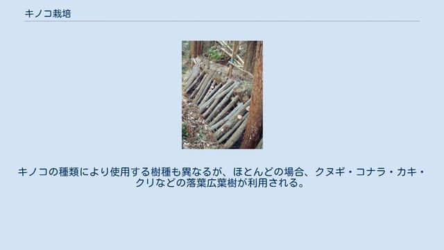 キノコ栽培 смотреть онлайн