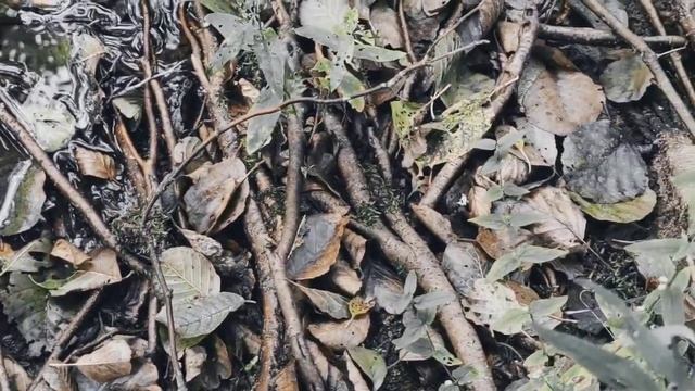 VID 20220920 153859 Шепчутся тени- слепцы...1916 (Н. Клюев)...Павел Васильев Лахтинский