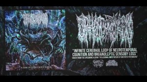 OPHIOCORDYCEPS - INFINITE CEREBRAL LOOP OF NEUROTEMPORAL COGNITION AND... [SINGLE] (2019) SW EXCL