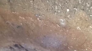 г.Тула, д. Федоровка . Щит +пакля = тухлая вода. Не бывает чисток за 8-15 тр. podkapaev.ru