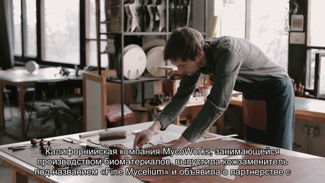 В царстве грибов нашли новый кожзаменитель смотреть онлайн