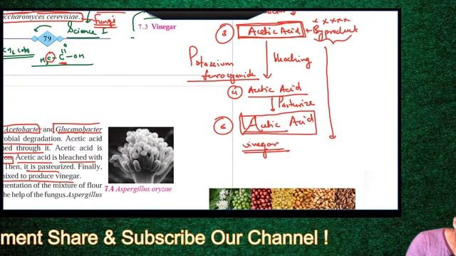 Chapter 7 Introduction to Microbiology Dairy Products 10th ssc Maharashtra New Syllabus science 2 смотреть онлайн