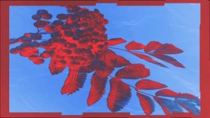 Денис RiDer   Снегири