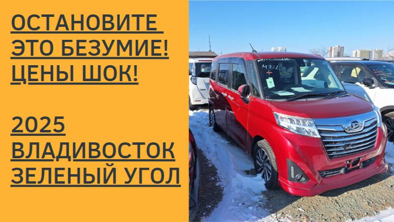 ОСТАНОВИТЕ ЭТО БЕЗУМИЕ! ЦЕНЫ ШОК! 2025! ВЛАДИВОСТОК! АВТОРЫНОК ЗЕЛЕНЫЙ УГОЛ.