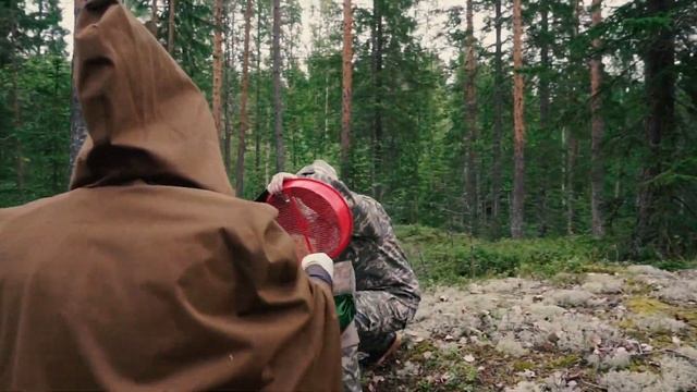 Работа за границей с Nikolozjob.