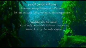 АЛЬ ФАТИХА 33 РАЗ ОТ БОЛИ И ВСЕГО ПЛОХОГО на ночь