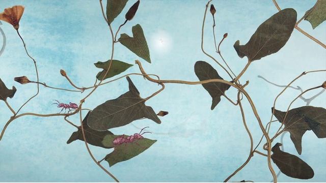 Cordyceps смотреть онлайн